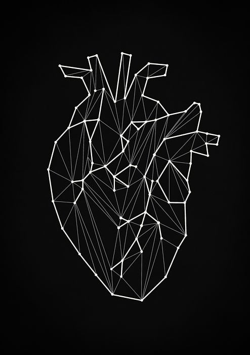 abstract illustration of the heart with lines and dots black and white